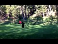 'Dancing' Bear Invades Golf Course, Puts on Adorable Show