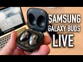 Samsung Galaxy buds Live | Снова трудности перевода | Опыт использования