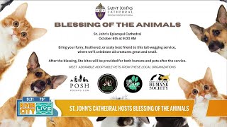 Pet Blessings and Adoptions A Pawsitive Day at St John s Cathedral Sunday October 6 at 9 00 AM