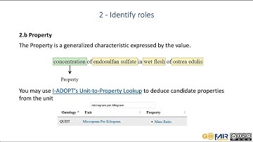 I ADOPT  Framework  Step by Step  Guide
