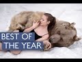 Bests of the year compilation  caters tv