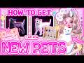 DRESS TO IMPRESS IS ADDING PETS IN THE NEW SPRING UPDATE! *HOW TO GET THEM, LEAKS* | Roblox
