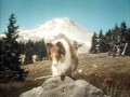 Lassie Séries Génériques