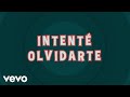 Palomo, Big Javy & Los Tenampa - Intenté Olvidarte (Lyric Video)