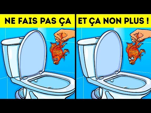 Vidéo: Les serviettes en papier sont-elles mauvaises pour les fosses septiques?