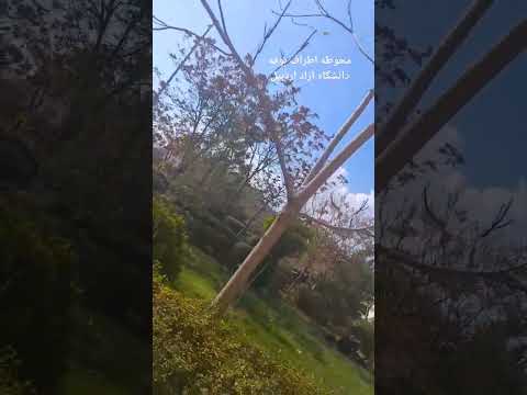 محوطه اطراف بوفه دانشگاه آزاد اردبیل