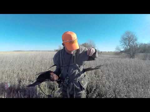 Tenzing Outdoors Bird