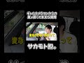 ギャルカメラマンからの真っ直ぐで失礼な質問 #youtubeshorts #サカモト #質問