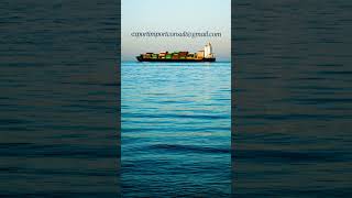Digital Marketing in Export Business #import #export
