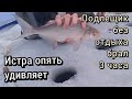 Истра опять удивляет...Истринское водохранилище 25.12.21