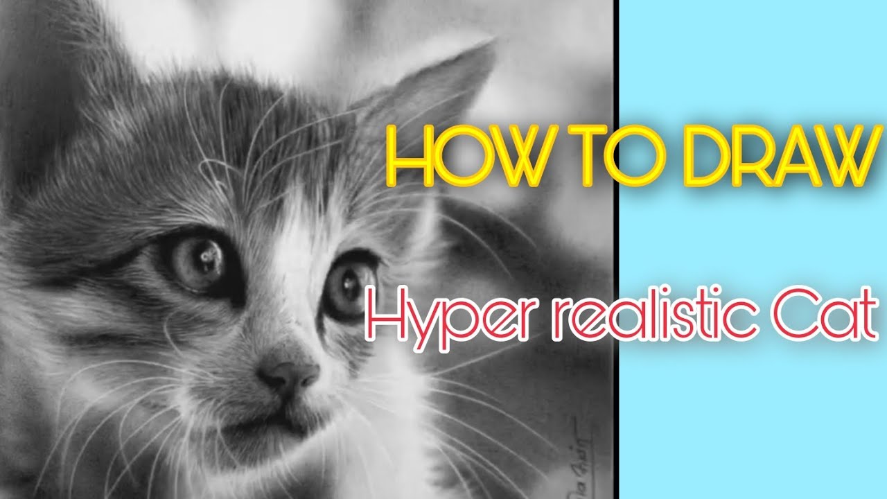 HOW TO DRAW | hyper realistic cat | Paul Sevilla - YouTube