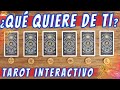 ELIGE UNA CARTA 🔮- QUÉ QUIERE DE TI? QUÉ BUSCA ESA PERSONA?🔍 SUS INTENCIONES 🤔 - Tarot Interactivo