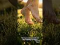 Grounding helps to reduce inflammation