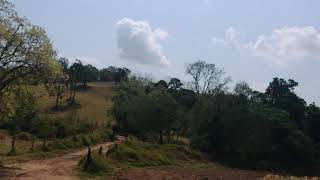 Download Lagu sabor da natureza MP3