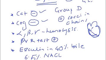 Medical Video Lecture: ENTEROCOCCUS FAECALIS, Microbiology