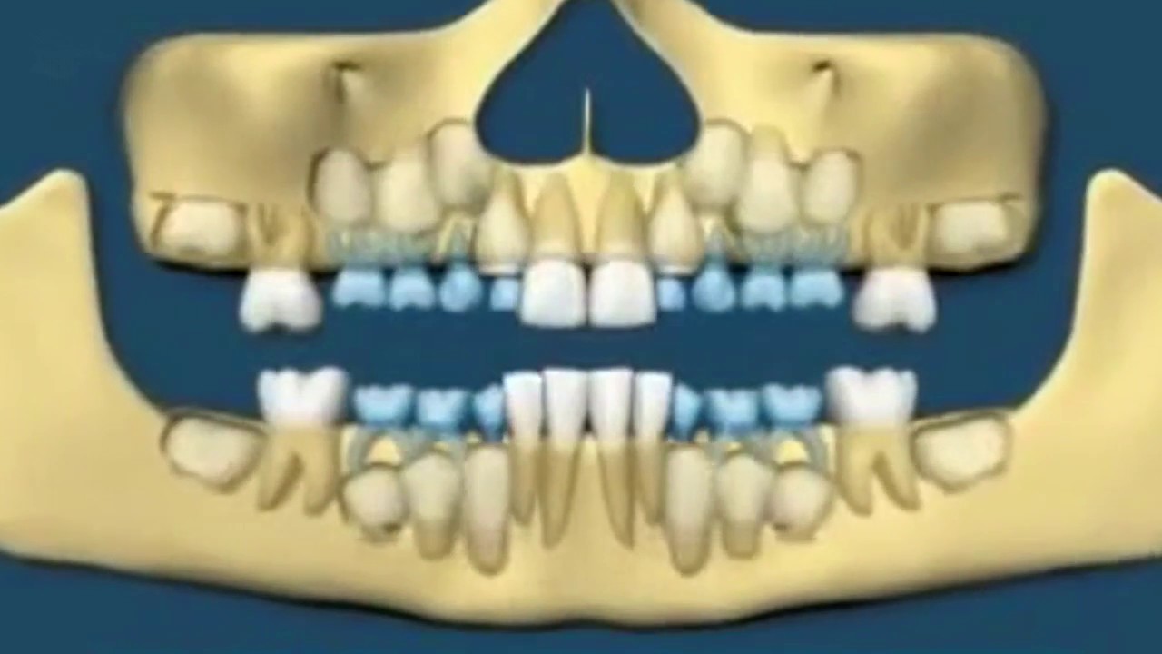 MANTRA TO REGROW TEETH YouTube mantra-to-regrow-teeth-youtube