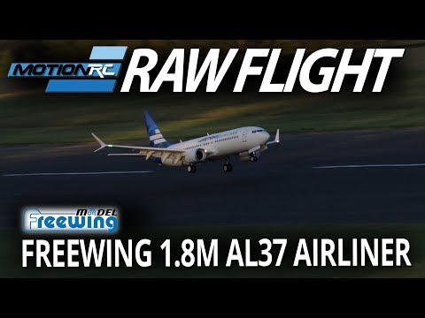 Freewing 1.8M AL37 Airliner Flight at Nall in the Fall