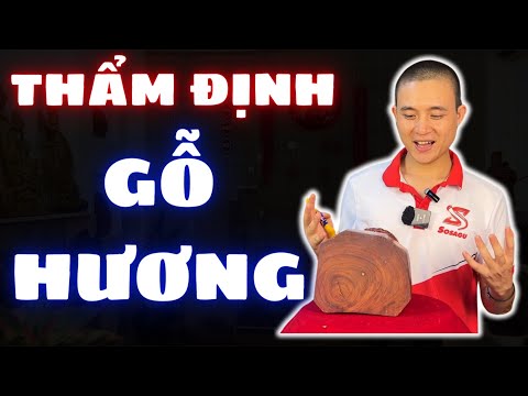 #2023 Cách nhận biết và thẩm định gỗ hương Gialai | Sơn Sập Gỗ