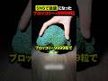 ブロッコリー9999粒で職人が本気を出すと…?🥦
