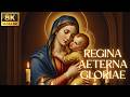 Catholic Ave Maria Anthems | Catholic Prayer &amp; Marian Hymn | Gregorian Chant &amp; Holy Anthems
