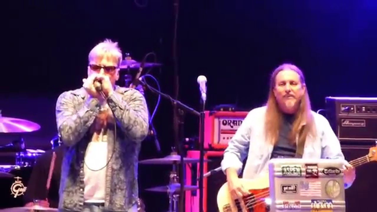 Fabulous Fleetwoods Must Of Got Lost (Garlic Fest 1/30/16) YouTube