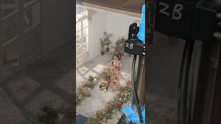 Photo Shoot Bts Model Fashion Shoot