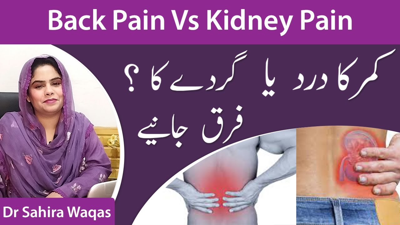 Back Pain vs Kidney Pain Difference Between Kidney Pain and Back Pain By Dr Sahira Waqas
