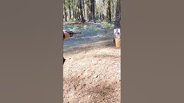 AK shotgun slow motion