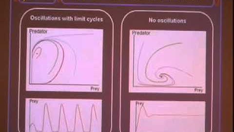 Imperial College of London team presentation at iGEM 2006