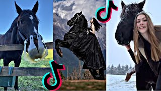 The Cutest HORSES Equestrian TikToks Compilation 88