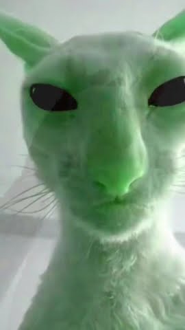 ancient alien cat