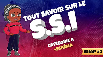 Quel est le rôle du CMSI ?