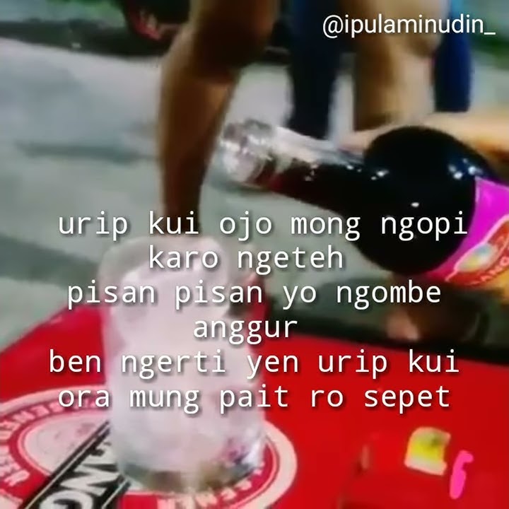 Story wa keren || anggur merah