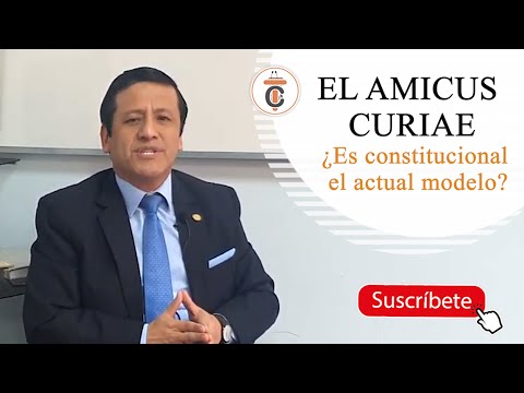EL AMICUS CURIAE ¿Es Constitucional el actual modelo? - TC 176