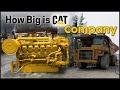 Ever know  how big is cat company