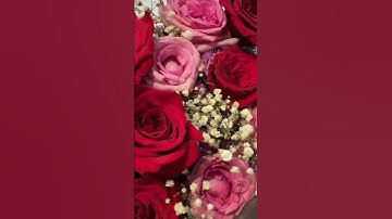 Thumbnail of Flowers 🌹 #love #song #bollywood #viral #shortvideos #shortsviral #yt #music #rose #flowers #shorts