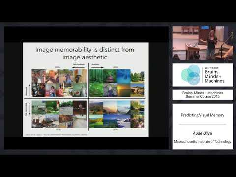 Lecture 4.3. Aude Oliva - Predicting Visual Memory thumbnail