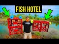 Building These FISH HOTELS will SAVE My Backyard Pond?! (My Bass are STARVING!!)