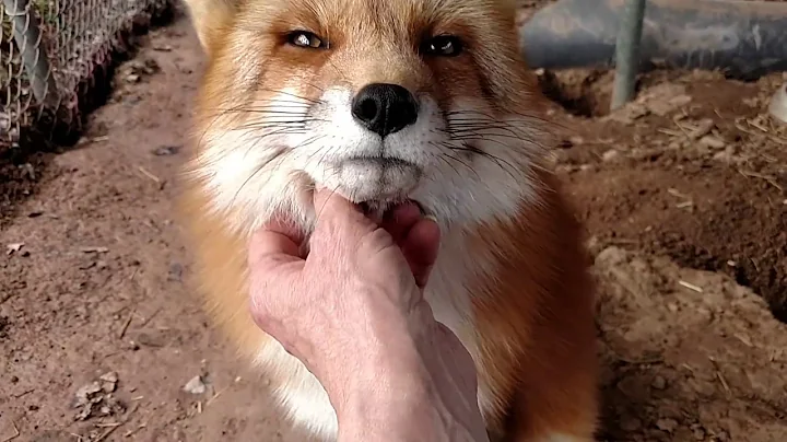Love from "Rusty"