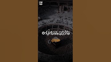 تلاوة خاشعة تخطف القلوب، للشيخ محمد صديق المنشاوي رحمه الله #تلاوة_خاشعة #محمد_صديق_المنشاوي