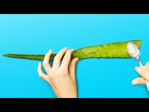 Video: Aloe Vera'yı Kullanmanın 4 Yolu