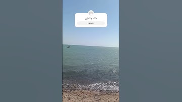 سورة إبراهيم #القرآن_الكريم #اكسبلور #ترند #fyp #foryou #foryoupage# #viral