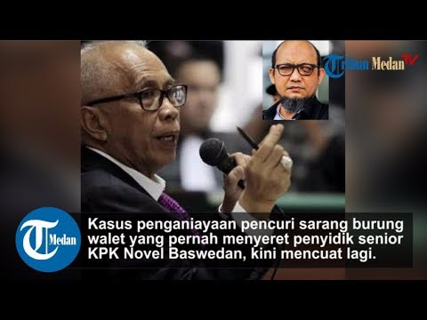 OC Kaligis Ungkit Kasus Sarang Walet Penyidik KPK Novel Baswedan, Gugat Kejagung dan Kejari Bengkulu