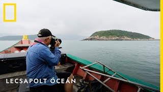 Lecsapolt Óceán - Szeptember 13-tól csütörtökönként 22 órakor (National Geographic)