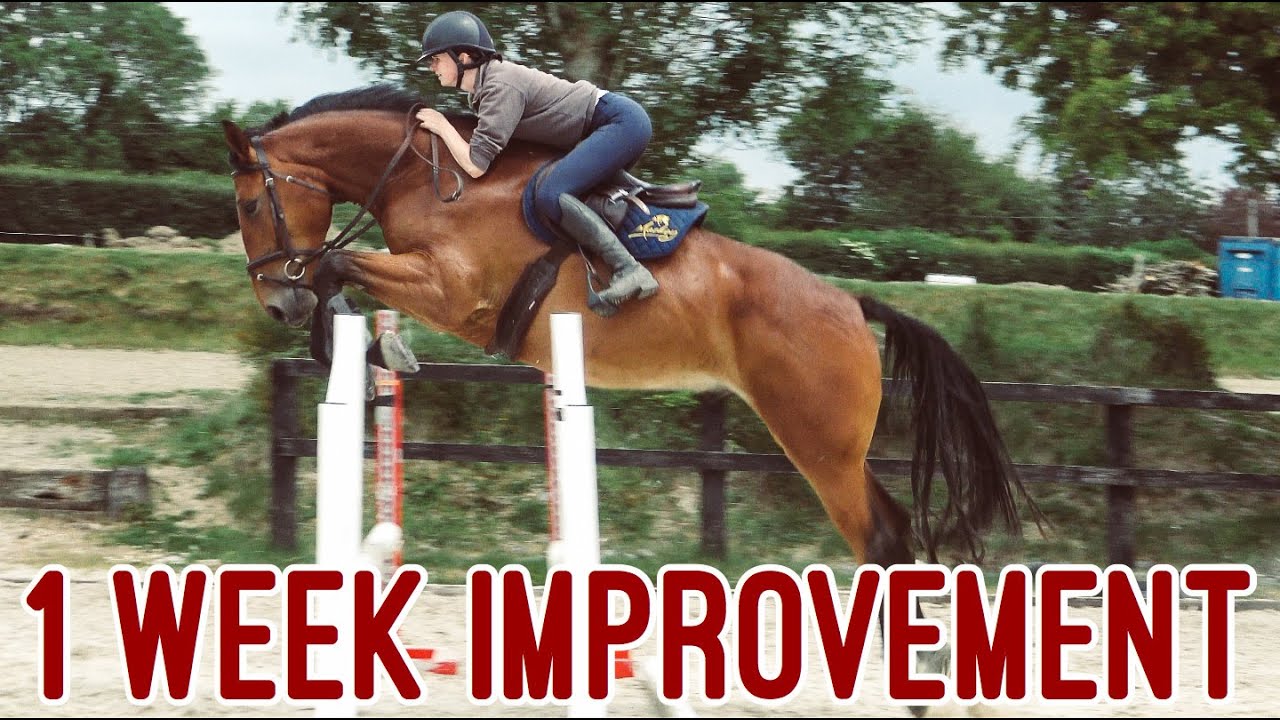 1 WEEK SHOWJUMPING PROGRESS // Show Jumping Schooling Vlog - YouTube