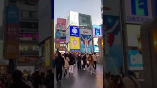 take me back to osaka 🇯🇵 #osaka #japan #japantravel #dotonbori #travelvlog #shorts