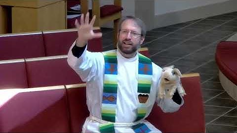 Plotinus (Tiny) the Pig - The Fourteenth Sunday of Pentecost 2020