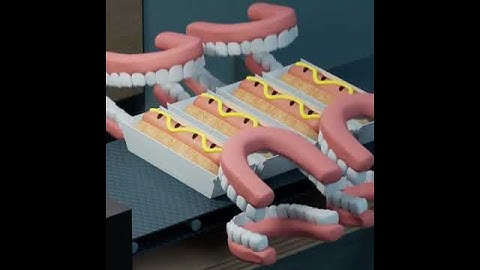 infinite hotdogs factory... #hotdog #factory