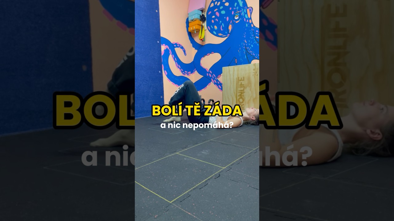 Image: Source BodyParts3D / DBCLS, CC BY-SA 2.1 JapanModified from original