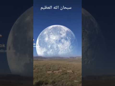 فيديو: هل تم تصوير الدائرة؟